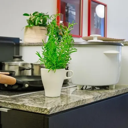 Scandi Luxury Renovated Access 赫尔辛基