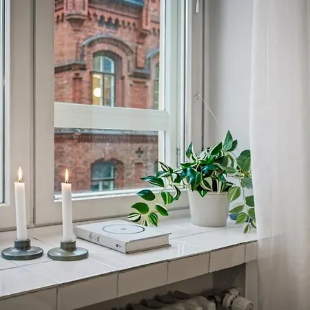 Scandi Luxury Renovated Access 公寓 赫尔辛基